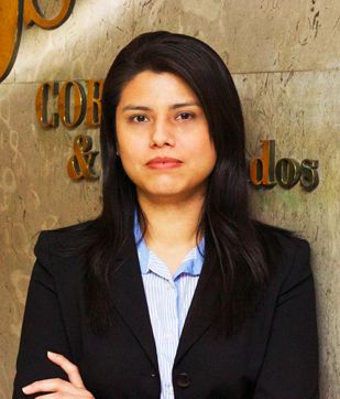 VIVIAN TEIXEIRA MONASTERIO