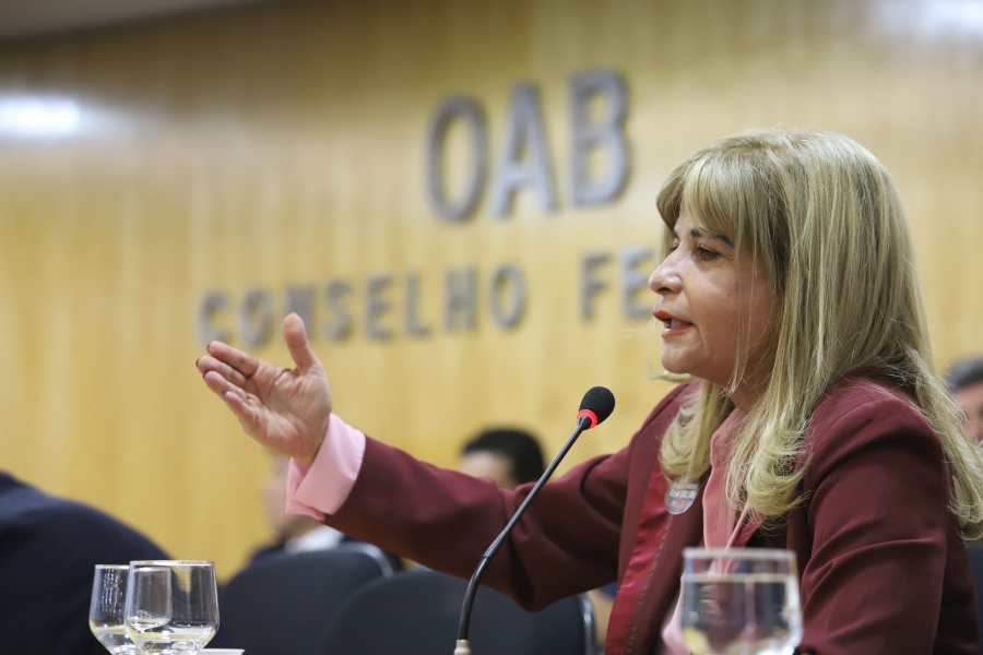 Rita Cortez participa de reunião do CFOAB que garante 30% dos cargos diretivos às advogadas